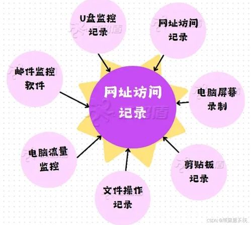 2024年上网行为审计软件排行 8款宝藏App助力网络与信息安全